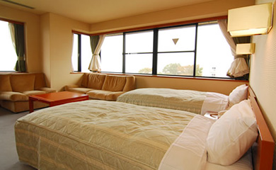 洋室（DXツイン）